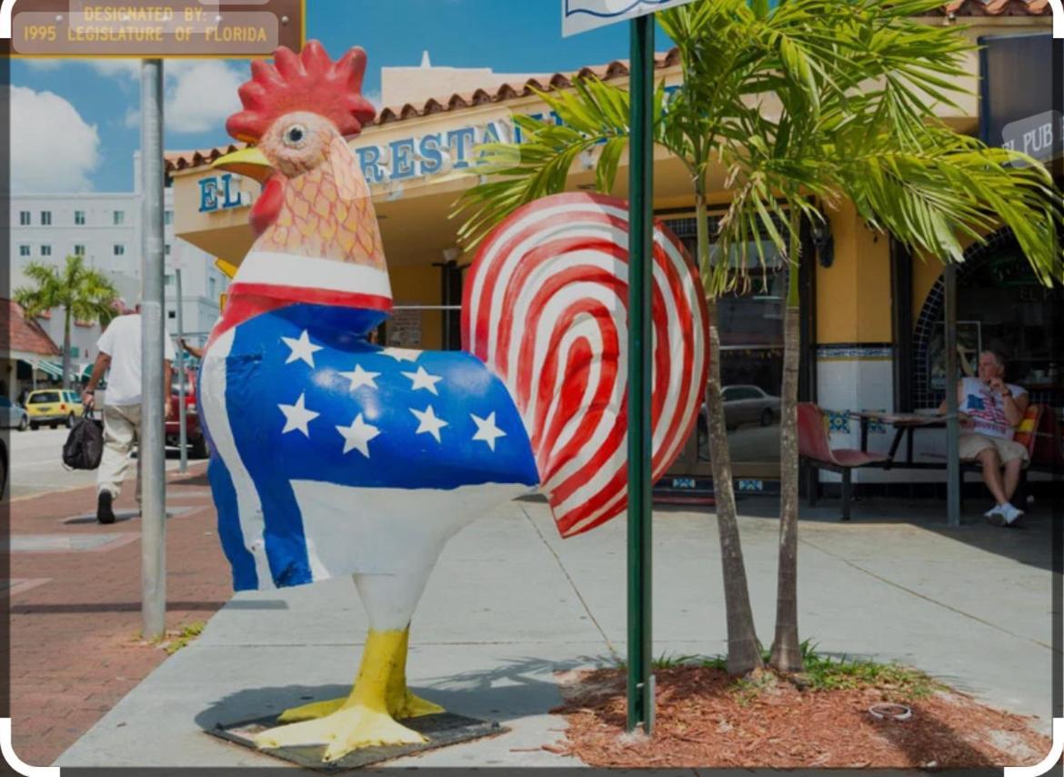 Maison d'hôtes Blue Little Havana